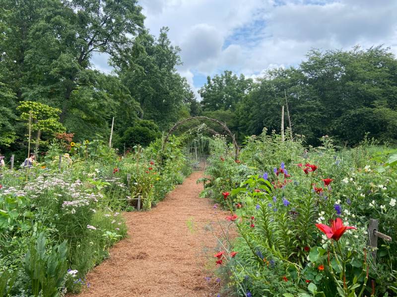 America’s Garden Capital: Top Gardens to Visit in Southeastern PA, DE, &&nbsp;NJ