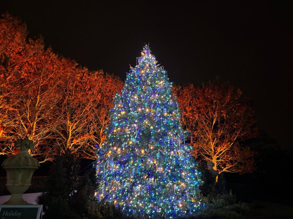 Longwood’s Gem of a&nbsp;Christmas