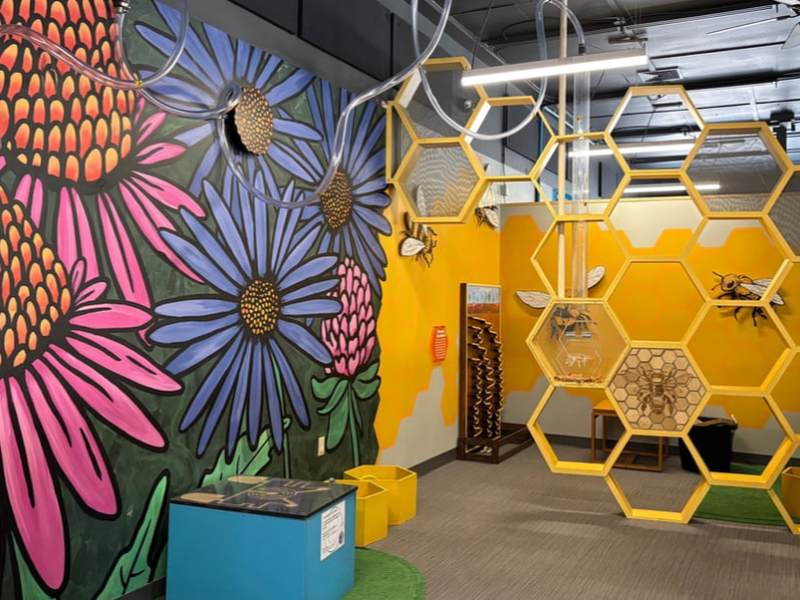 Where I Work: A Peek Inside Discovery&nbsp;Space