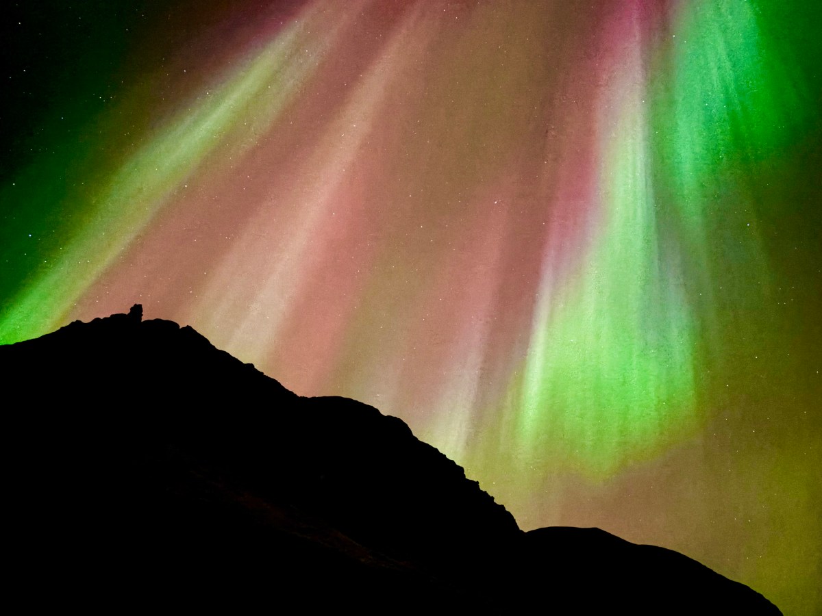 What Are the Northern Lights and Why Are We Seeing Them More&nbsp;Often?