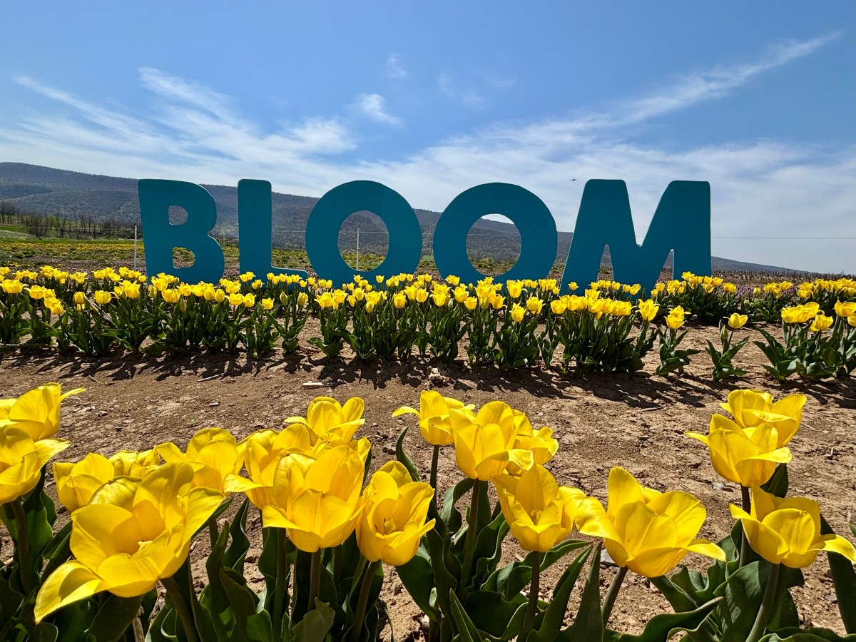 Top Spring Flower Spots in&nbsp;Pennsylvania