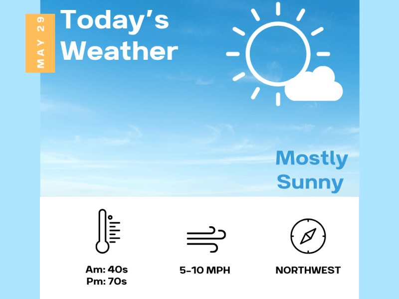 Plenty of sunshine for your&nbsp;Friday