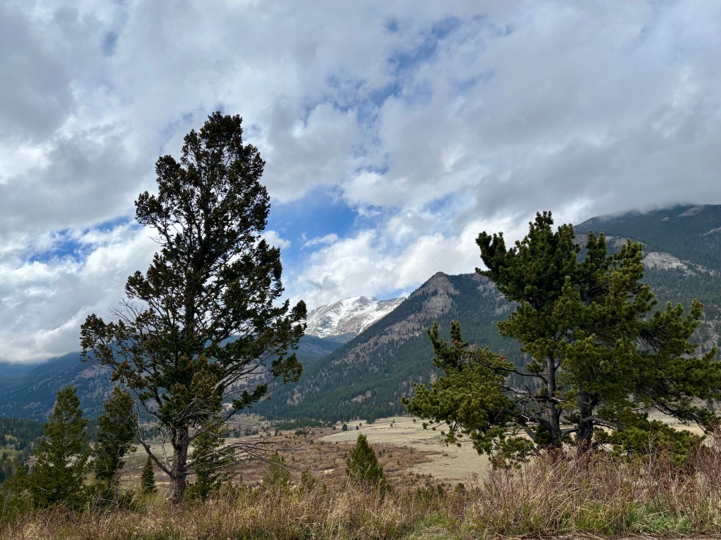 A scenic view of mountains under a cloudy sky, with evergreen trees in the foreground and a grassy valley visible.
