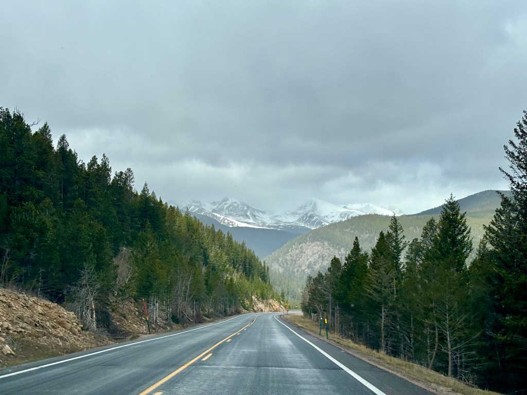 A scenic mountain road lined with evergreen trees under a cloudy sky, with snow-capped peaks visible in the distance.